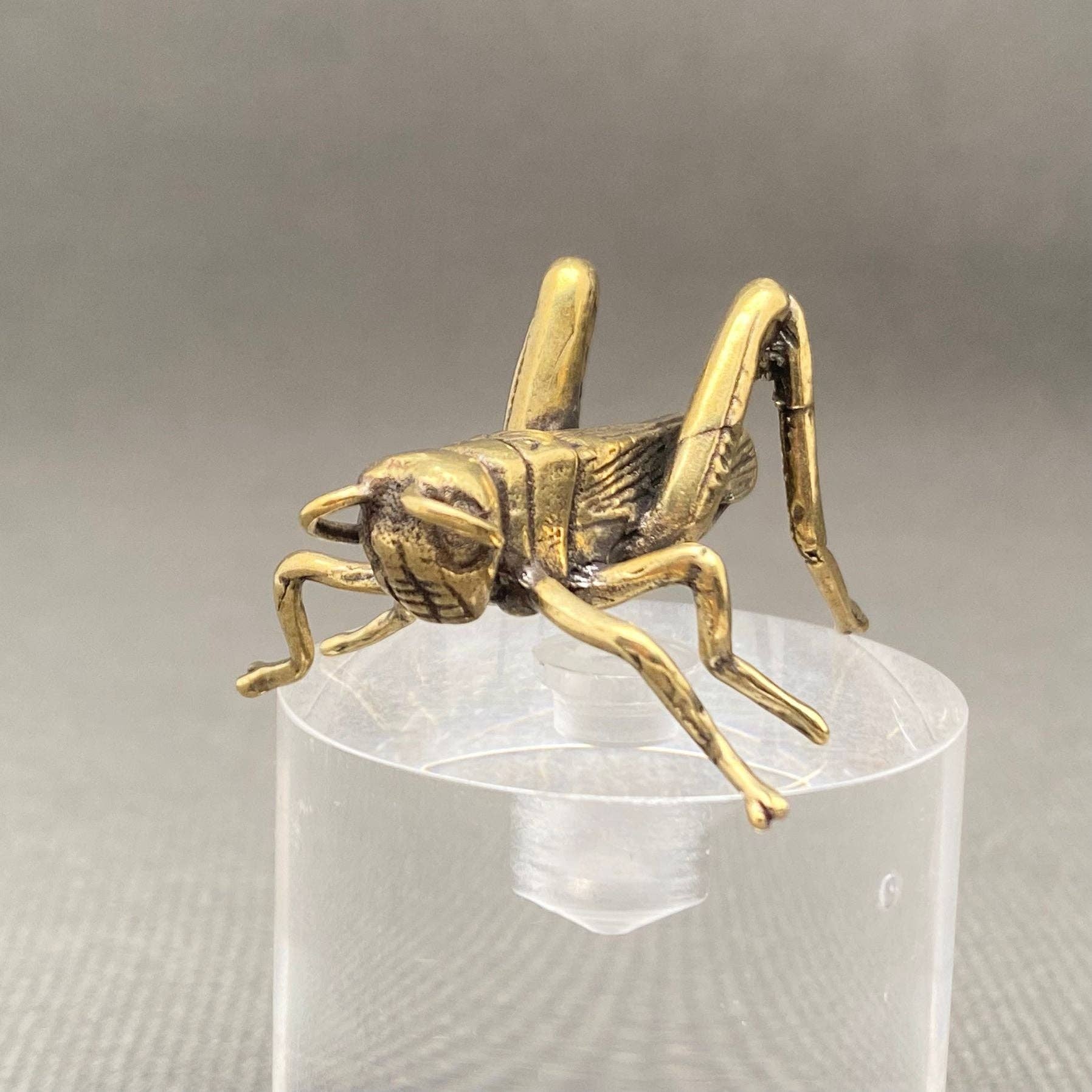 Mio Queena - Wholesale Decorative Figurine - Brass Cricket Desktop Ornaments Decoration4