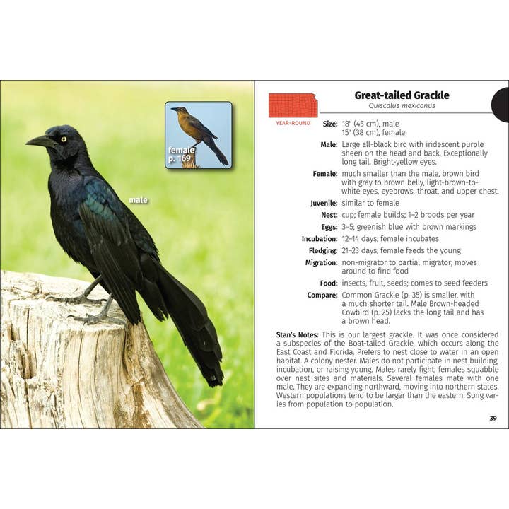 AdventureKEEN - Wholesale Book - Adult - Birds of Kansas Field Guide 2e
