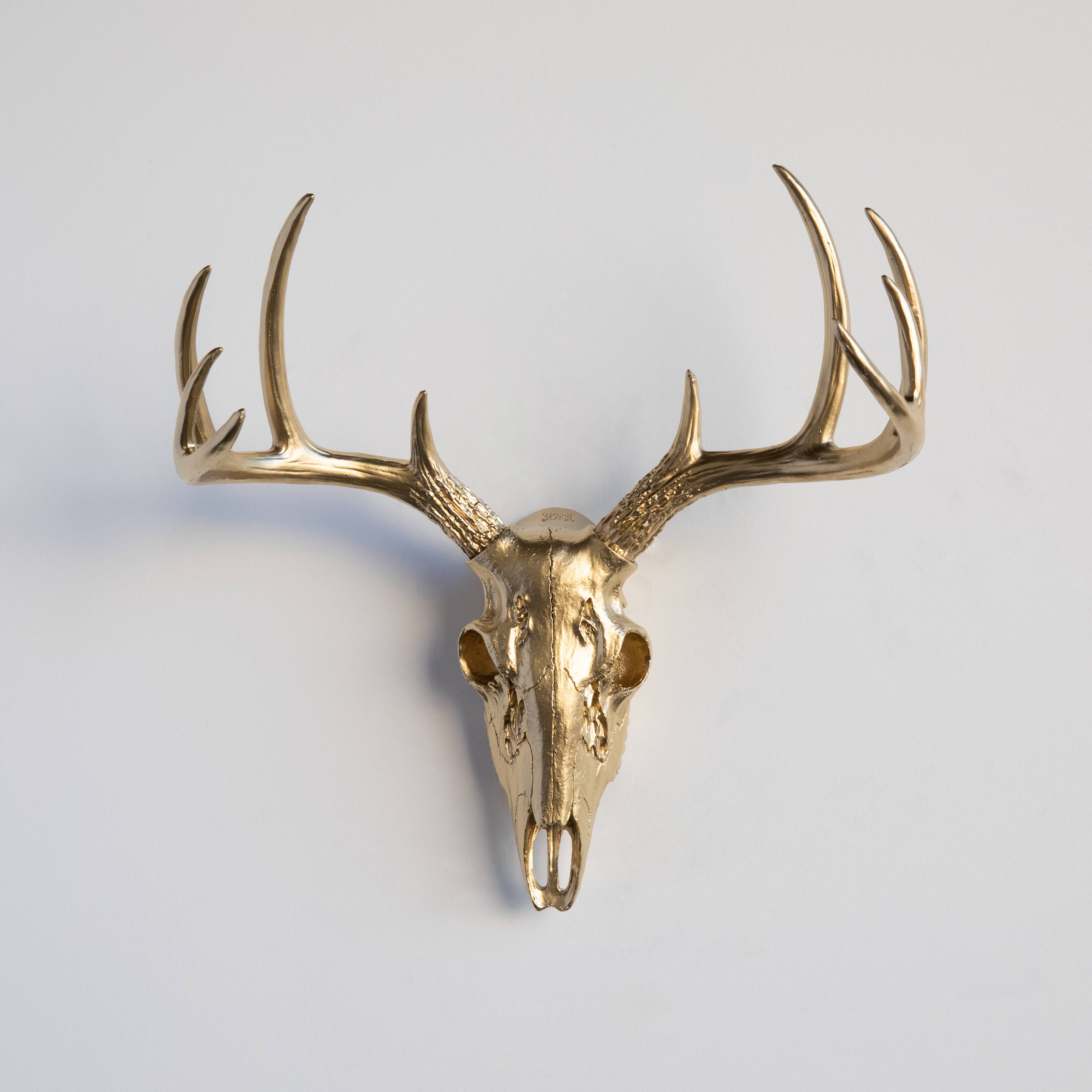 Near and Deer - Wholesale Dimensionele/3D-muurkunst - Faux Mini Buck Skull muursteun14