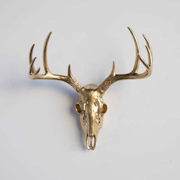 Near and Deer - Wholesale Wall Accent - Faux Mini Buck Skull Wall Mount5