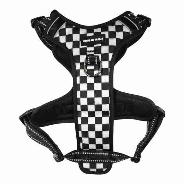 Ready Steady Zoom No Pull Handle Harness for wholesale by Haus of Hank