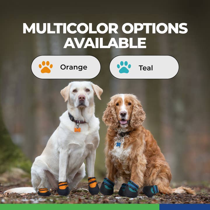 Healers PetCare – wholesale Pet paw protection – URBAN WALKERS III- TEAL8