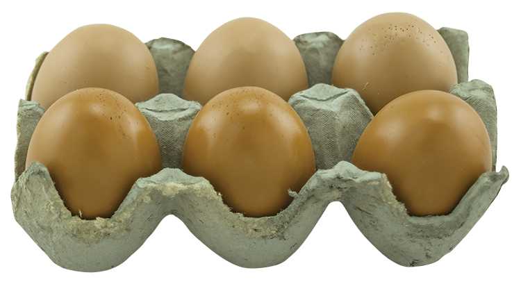 The Hearthside Collection - Wholesale Decorative Tabletop Object - Brown Resin Egg, 2 Assorted0
