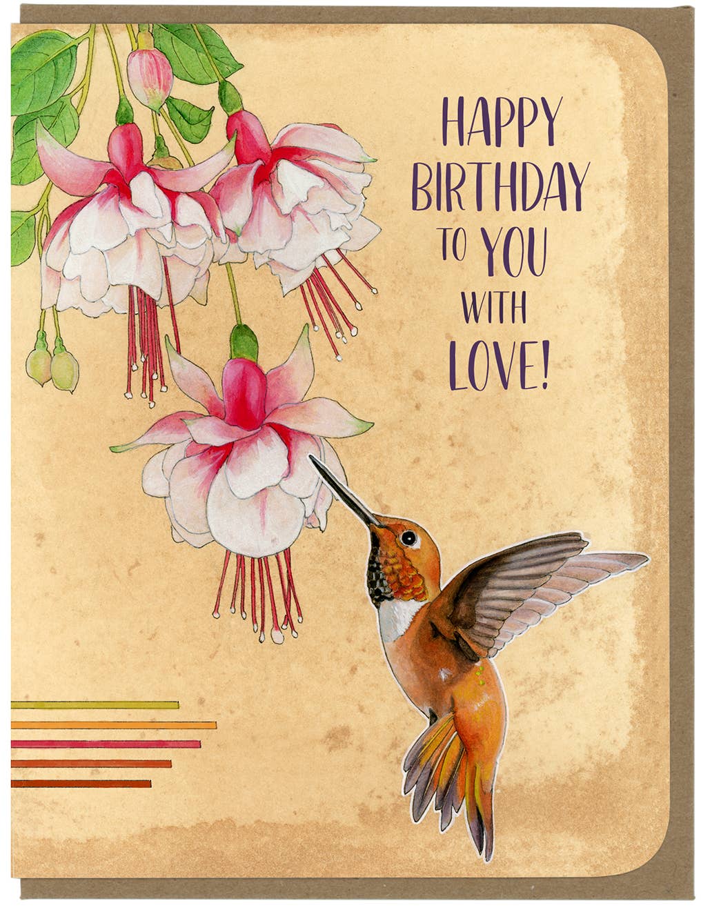 Amy Rose Moore Illustration - Vendita all'ingrosso Biglietti di auguri - BIRTHDAY Rufous Hummingbird - Biglietto di auguri2