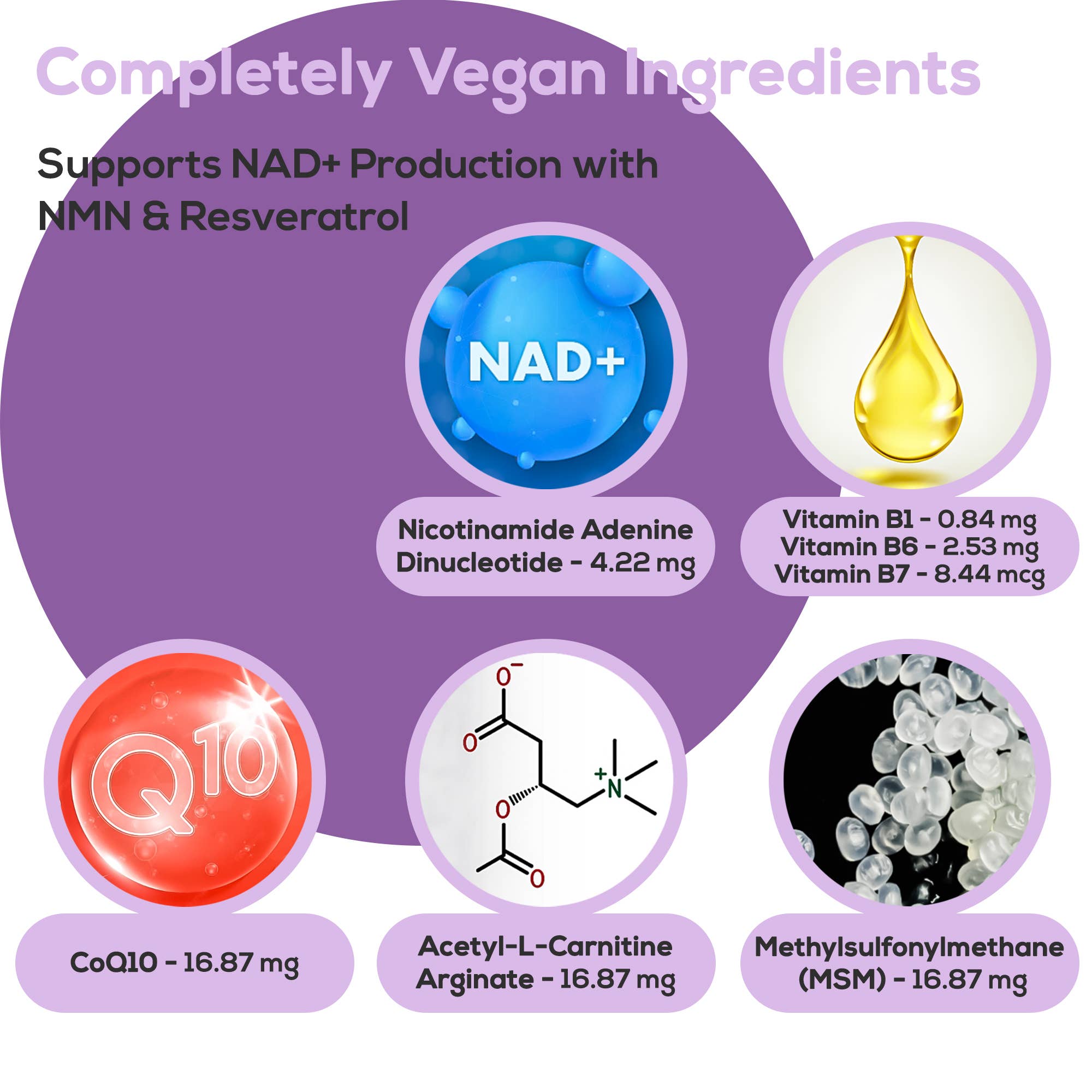 HARMONIFY - Wholesale Topical Wellness Patches - HARMONIFY NAD+ Patches - Cellular Health & Vitality - 30 Pcs3