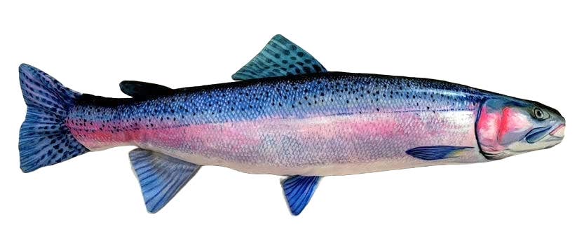 FishTargets - Wholesale Sporting Accessories - Steelhead Sporting Accessories for Fishing Practice