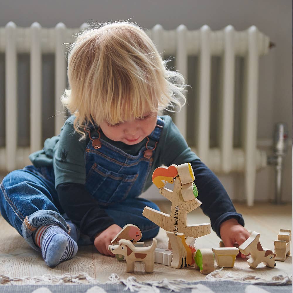ThreadBear Design UK/EU - Wholesale Wood Toy - Kids - Stacking Garden Friends6