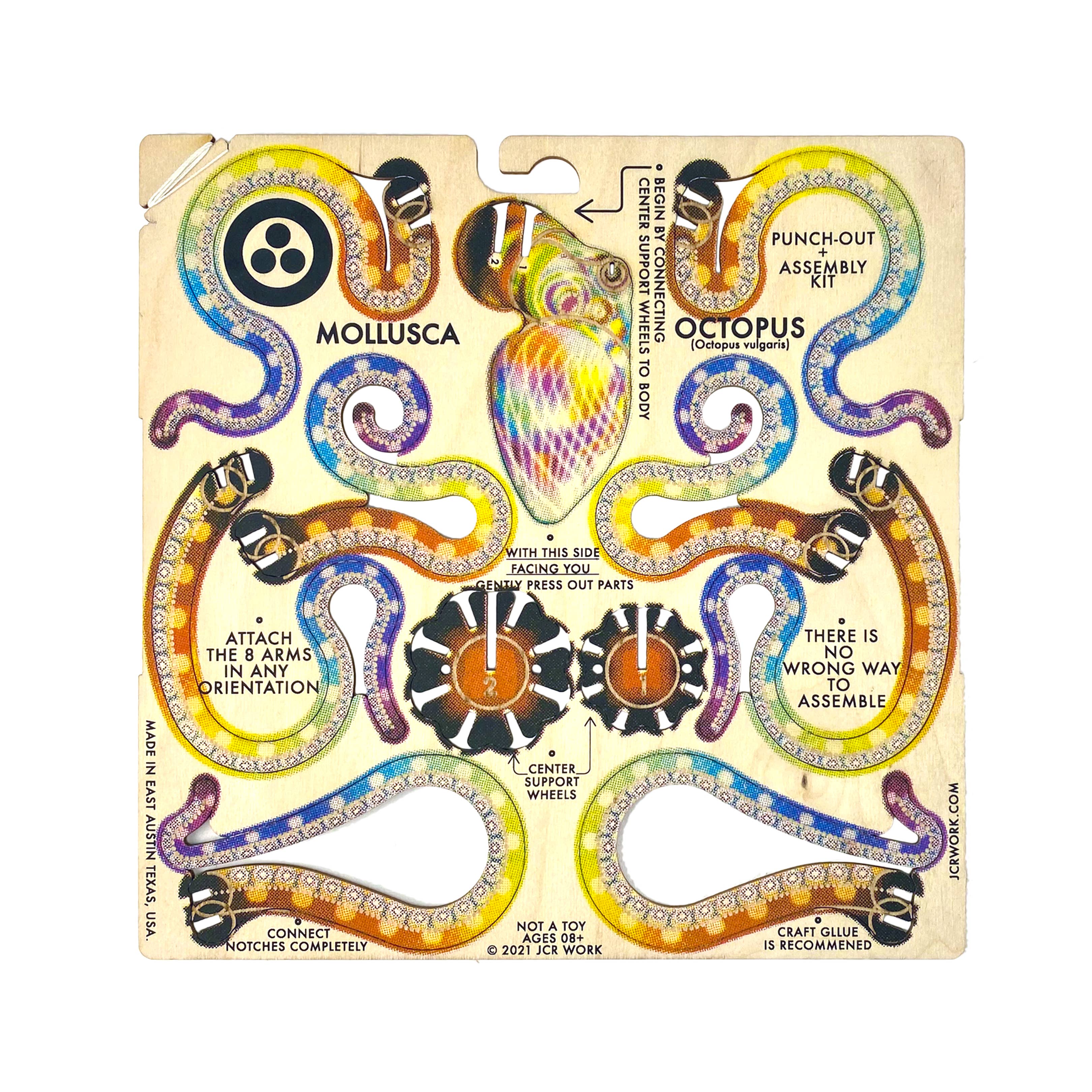 JCR WORK - Wholesale DIY Craft Kit - MOLLUSCA : OCTOPUS RAINBOW2