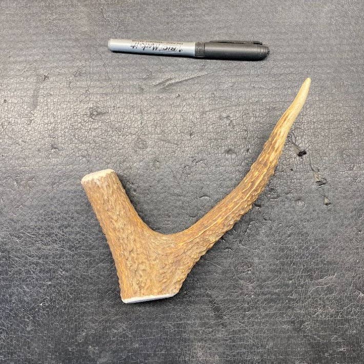 Sawtooth Antler Chews - Wholesale Pet Chew Toy - Dog - Dog Antler Chews