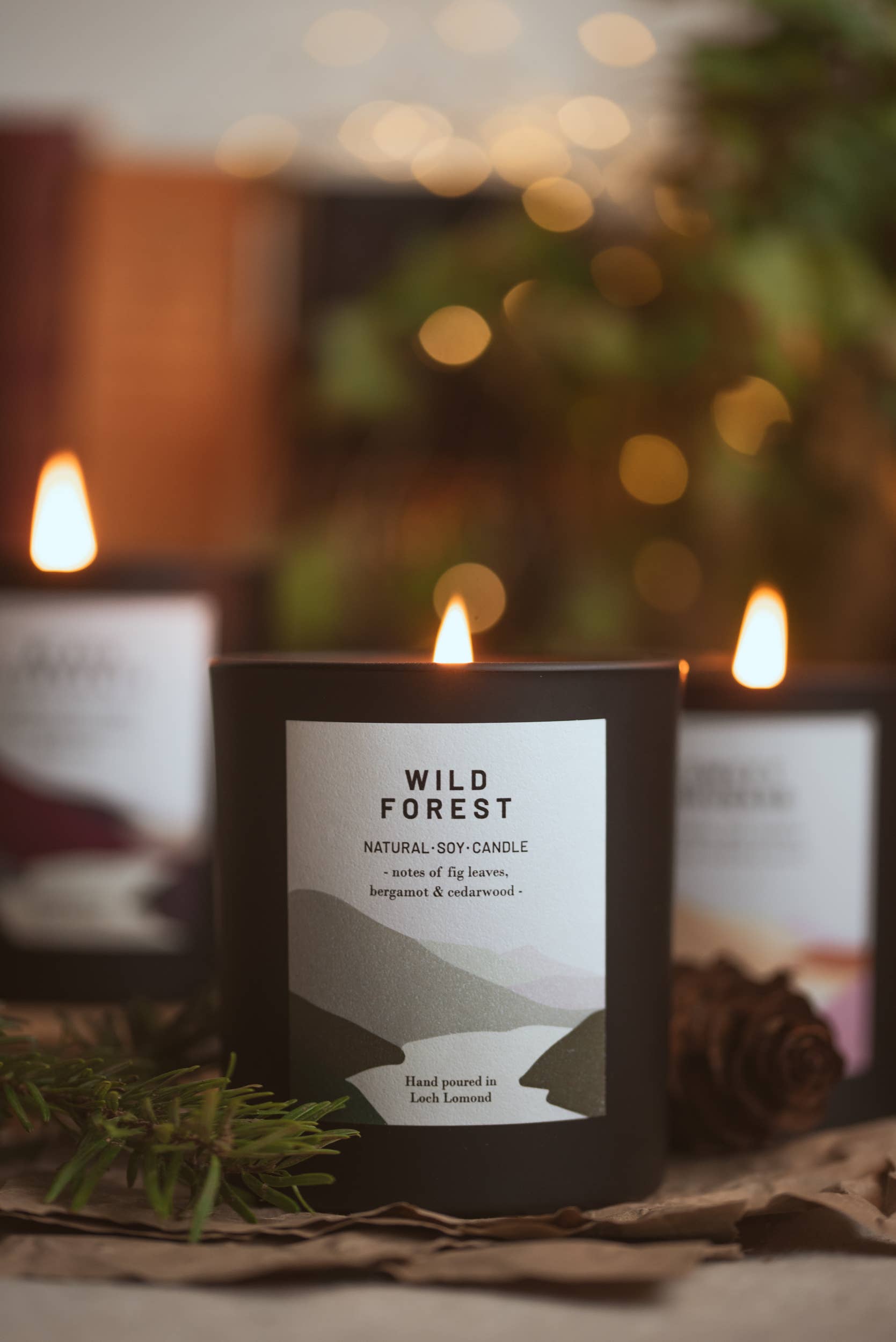 Ocoee House – wholesale Jar/filled candle – Wild Forest, Organic & Vegan Scented Candle | Ocoee House2