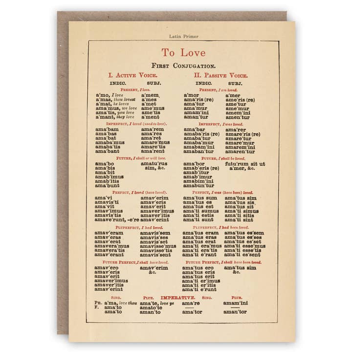 Latin Primer for wholesale by The Pattern Book