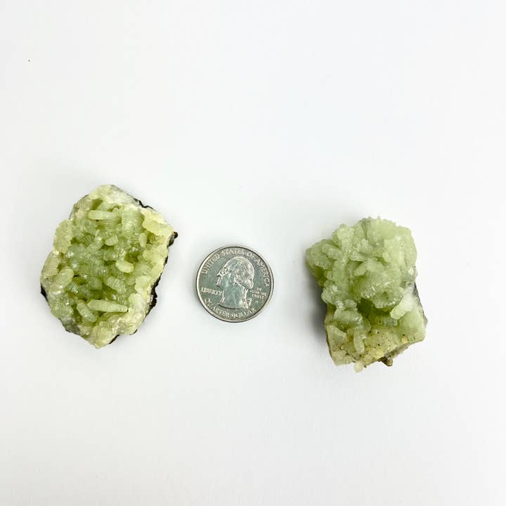 Pelham Grayson Rose - Wholesale Spiritual Stone/Crystal - Prehnite | Raw | Morocco
