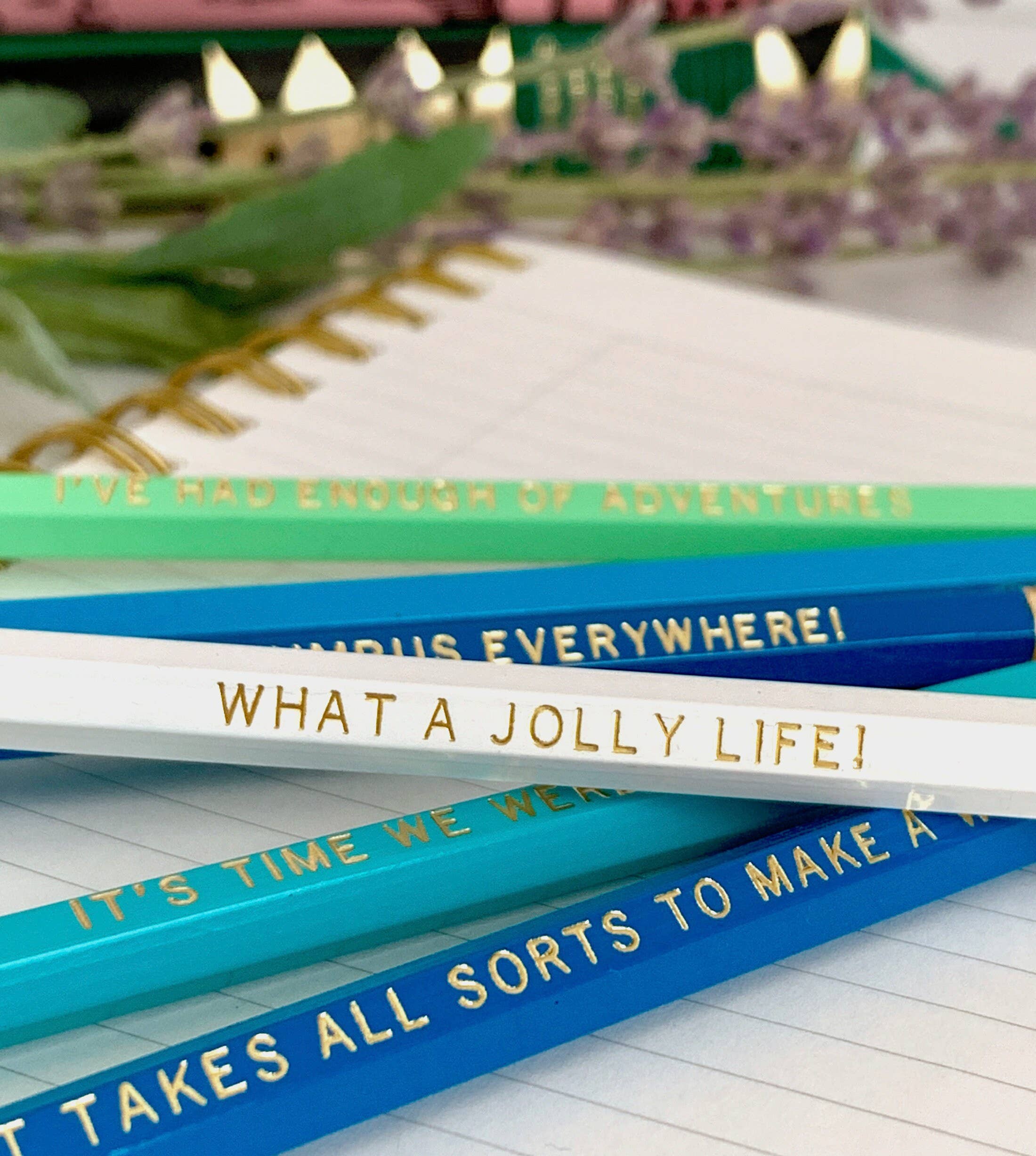 Lit & Whimsy - Wholesale Pencil - Wind in the Willows Engraved Pencils, Kenneth Grahame Quotes2