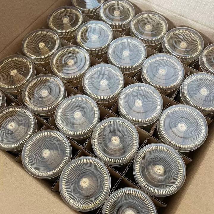 brut tea - Wholesale Whisk - Purple Bamboo Matcha Whisk – 100 Prongs | Handmade Chasen
1