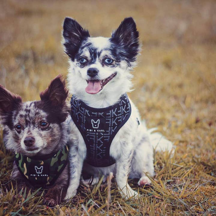 Fibi & Karl - Wholesale Pet Harness - Dog - 2-in-1 dog harness FK