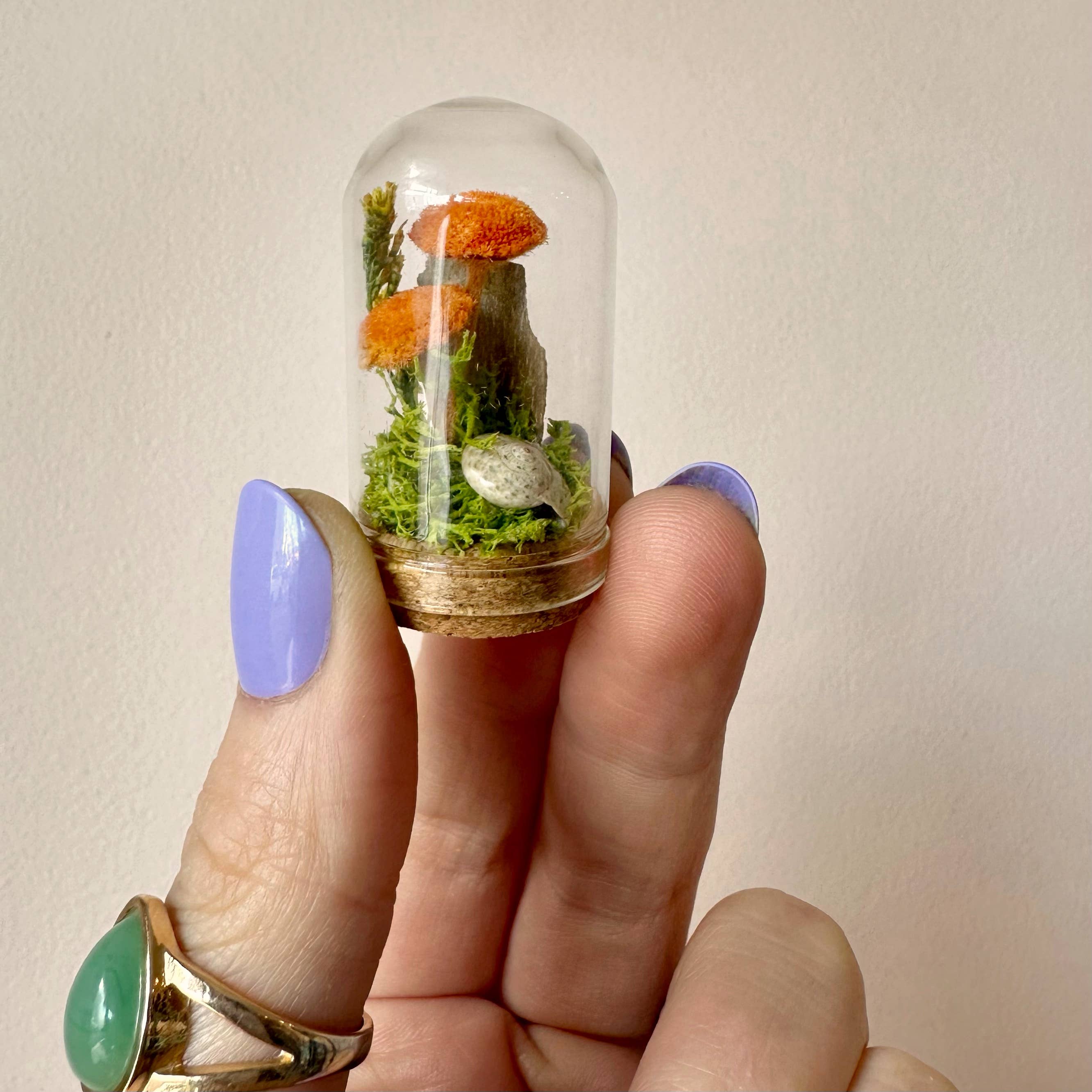 CA Studios - Wholesale Terrarium - Mushroom Mix Terrarium Glass Cloche Cork Jar & Florals7