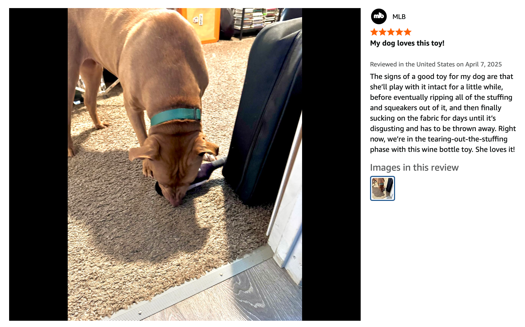 Pawcasso – wholesale Pet plush toy – Dog – Barkolo19