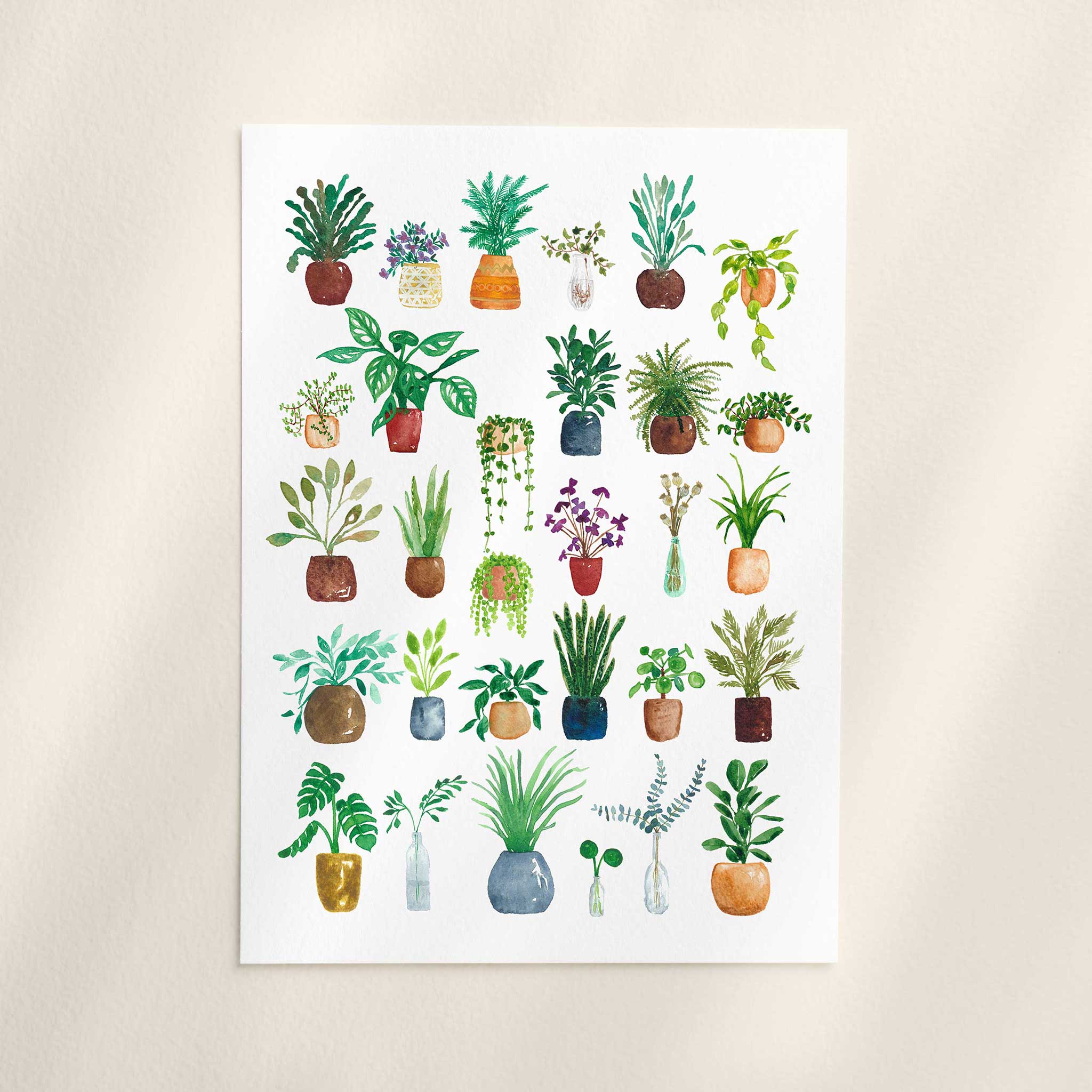 Jenny Vellacott - Wholesale Art Print - House Plant Print for Plant Lover Print of Plants Green6