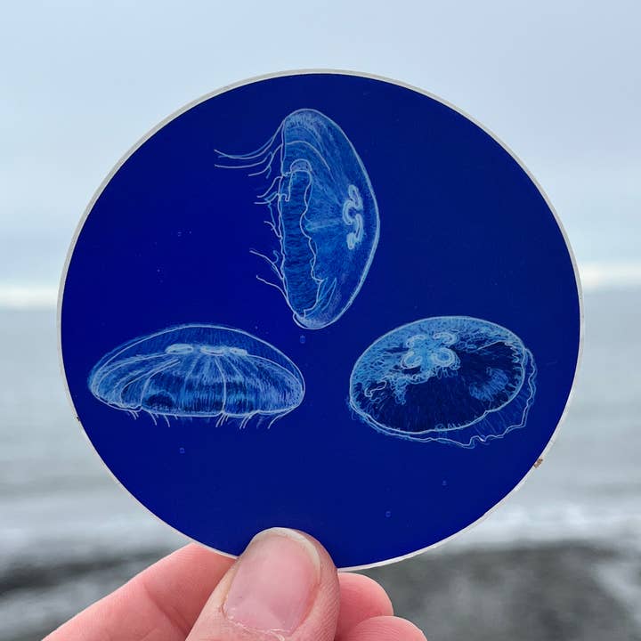 Round Blue Moon Jelly Fish Vinyl Sticker, Jellyfish for wholesale by Sea Spray AK