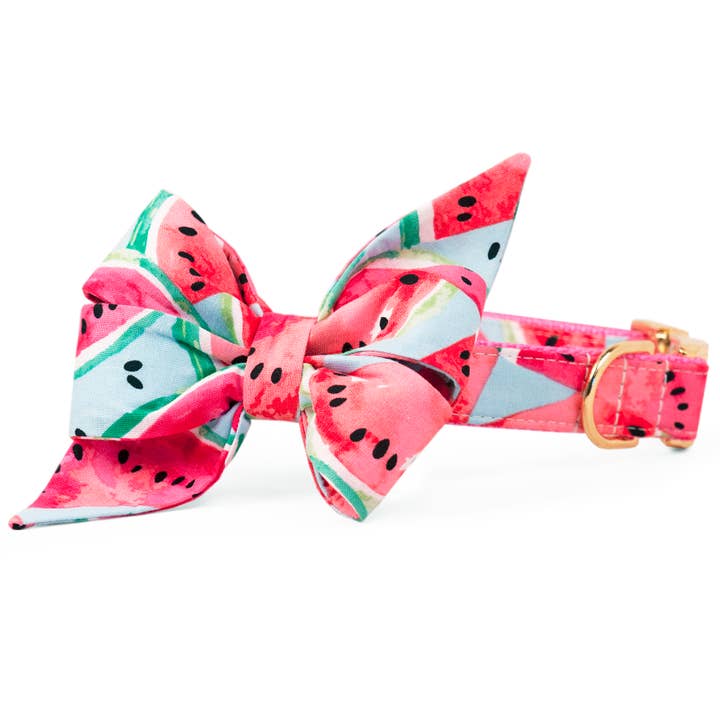 Akvarel Vandmelon Belle Bow Hundehalsbånd for engroshandel hos Crew LaLa