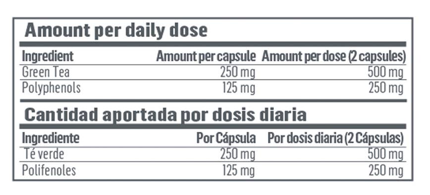 HYPERTROPHY NUTRITION – Engroshandel Kosttilskud og vitaminer – GRØN TE | 90 KAP1