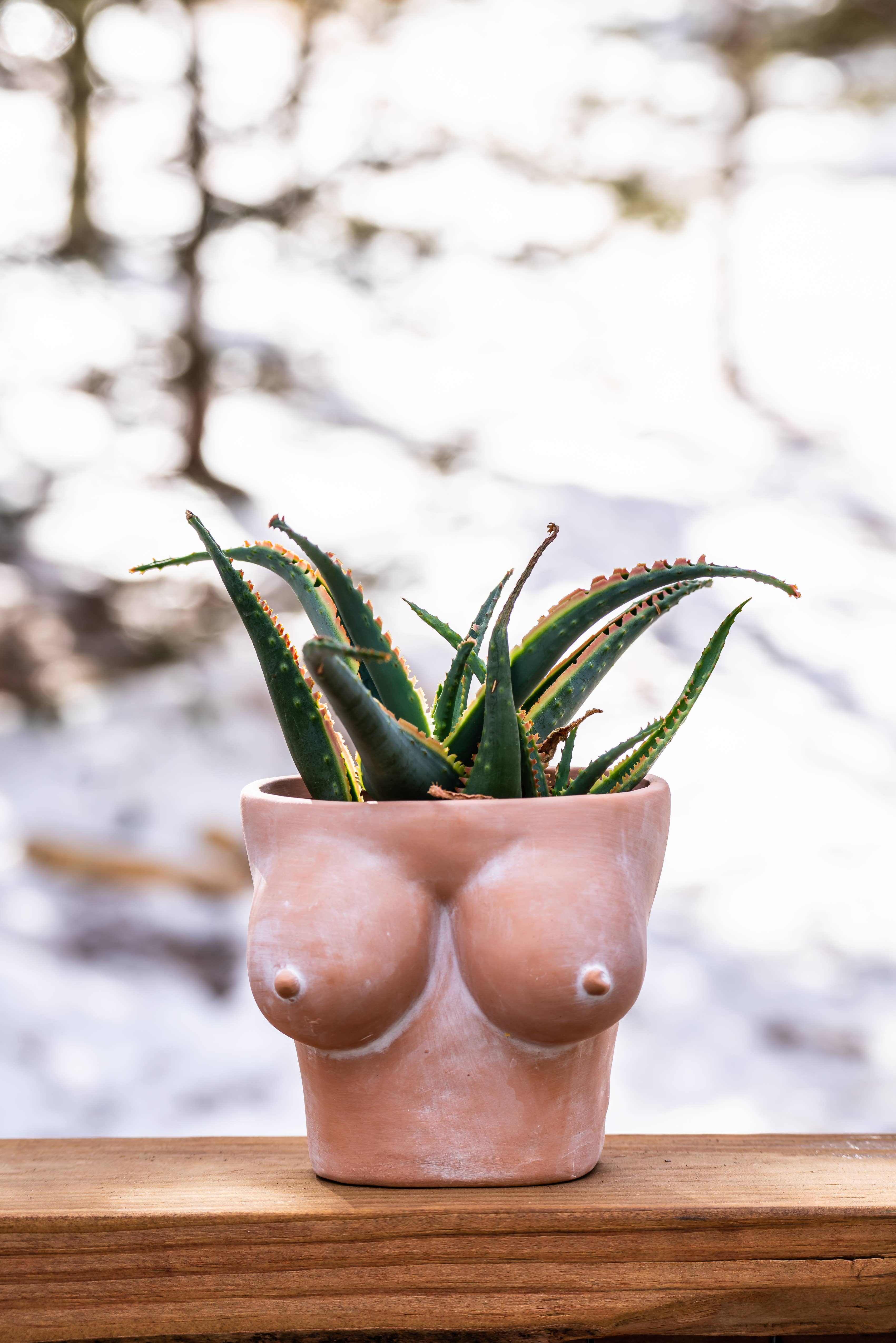 Simply Supplied Co – wholesale Kruka – Boob Kruka | Terrakotta Kruka | Roliga Bröst Kaktus Unik0