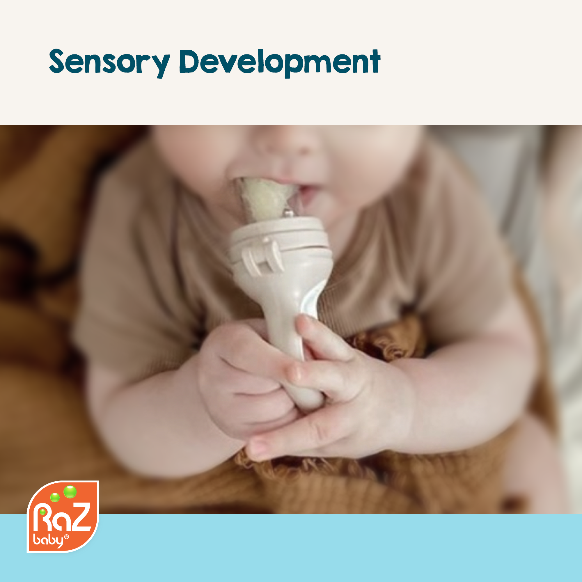 RaZbaby - Wholesale Teether (Not Clip-On) - Baby - RaZ Fruit Feeder & Teether - Green & Blue2