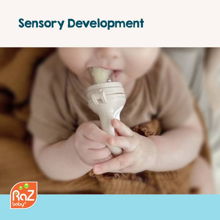 RaZbaby - Wholesale Teether (Not Clip-On) - Baby - RaZ Fruit Feeder & Teether - Green & Blue2