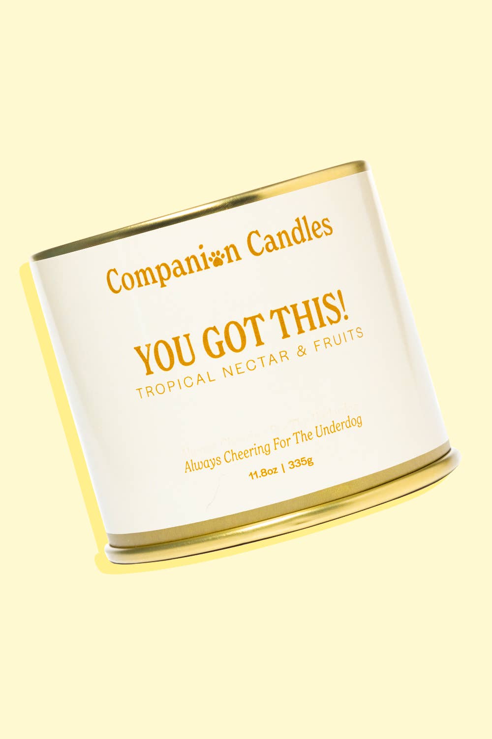 Companion Candles - Vendita all'ingrosso Candele da viaggio - Candela profumata Citrus Coconut-Soy (adatta agli animali domestici)1