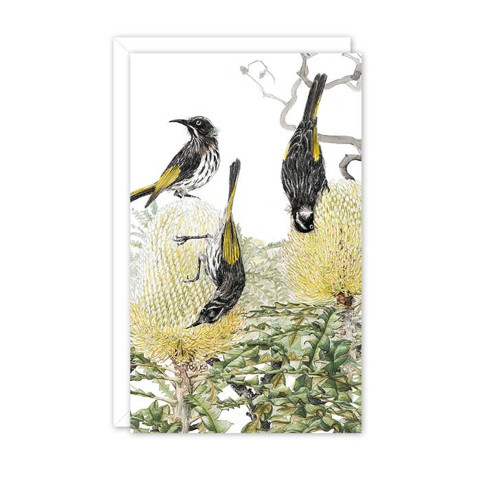 STUDIO NIKULINSKY - Wholesale Everyday greeting card - Small Card: Honeyeaters on Banksia1