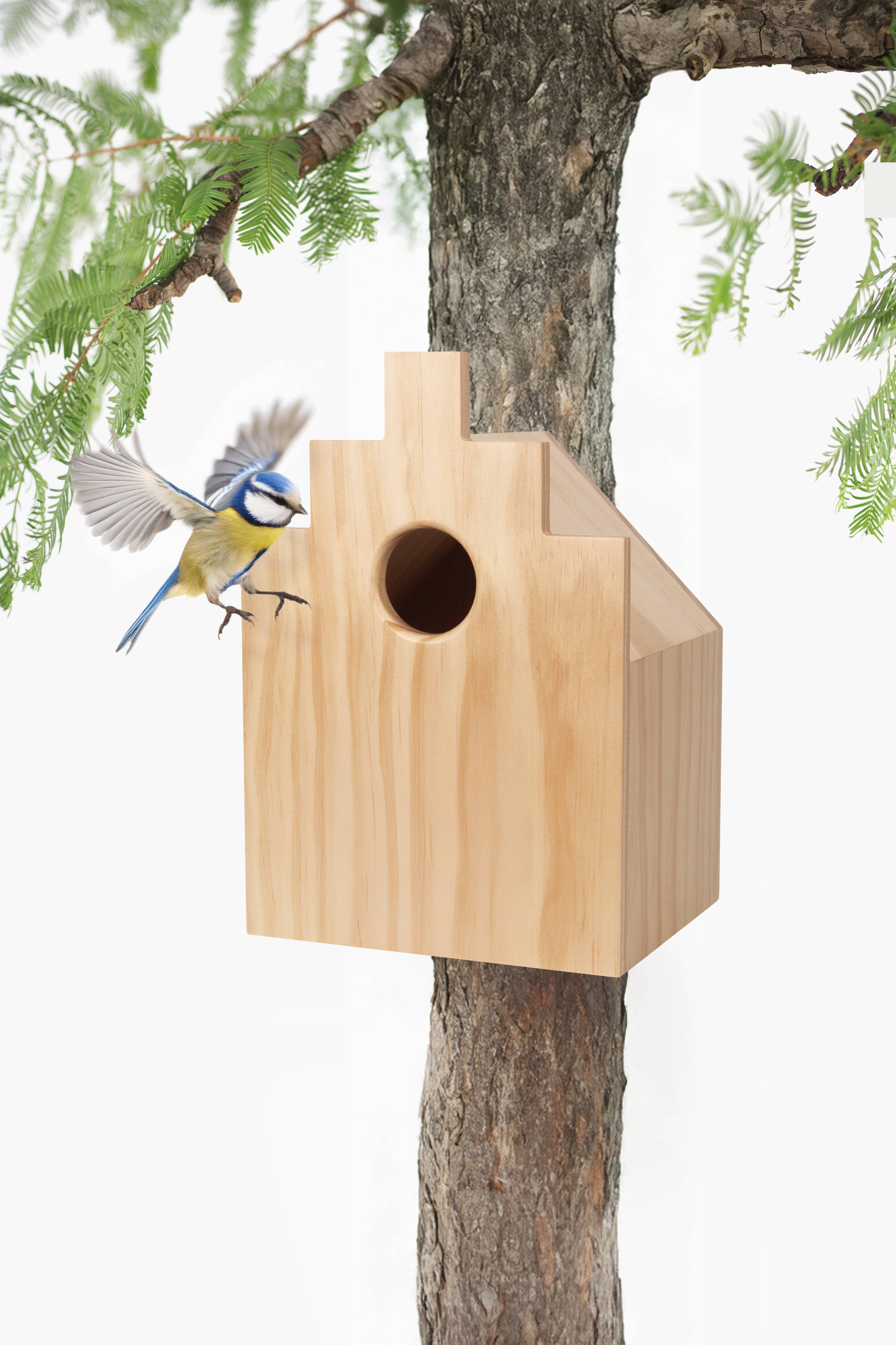 SingingFriend - Wholesale Bird House - Hello Robin