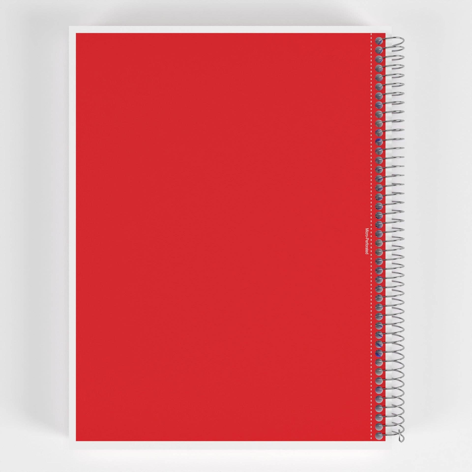 Eclips USA - Vente Cahiers - Cahier universitaire à spirale 5 matières – 150 feuilles – 24 unités3