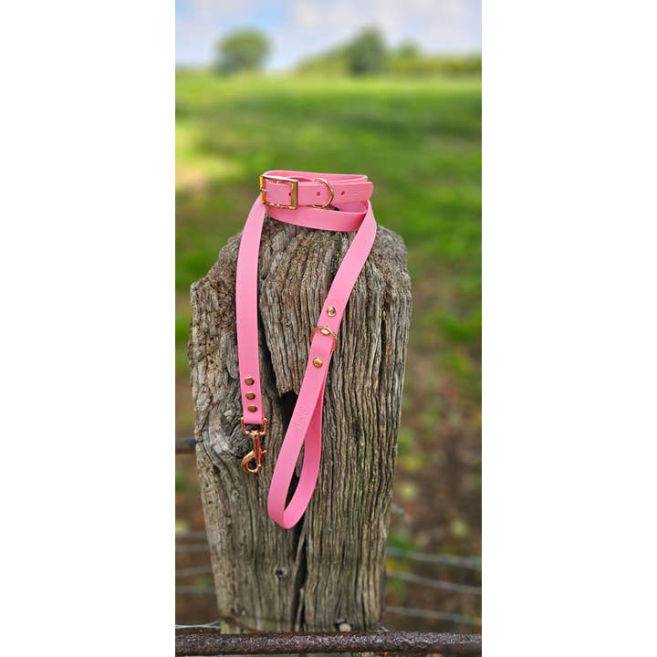 Trinkety Paws - Wholesale Pet Collar - Dog - BABY PINK - Waterproof BioThane© Dog Collar & Lead