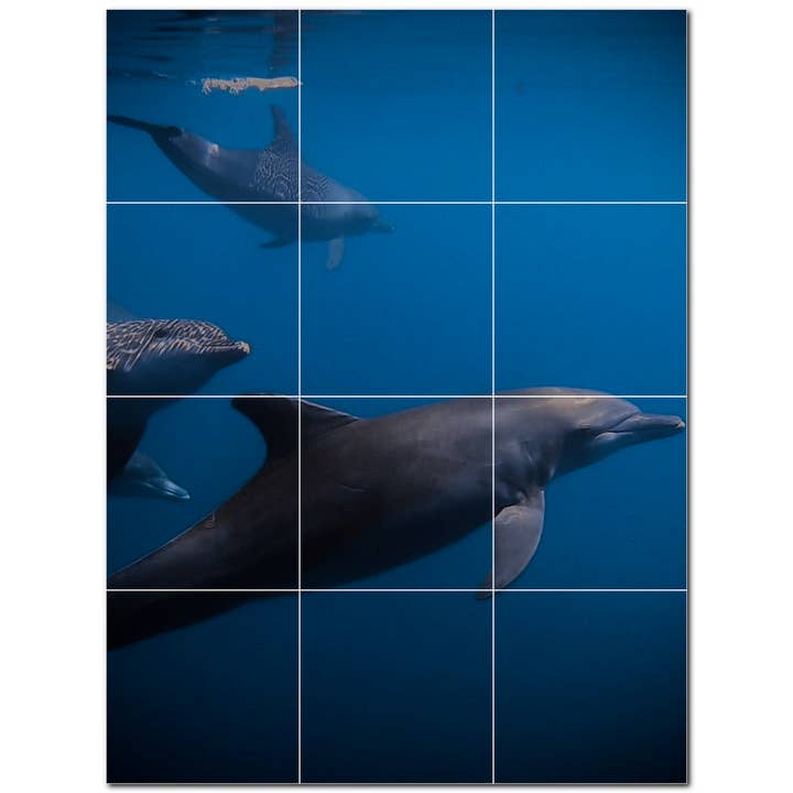 Dolphin Keramiska plattor Keramiska plattor Väggmålning PT500498 för wholesale av Picture-Tiles.com
