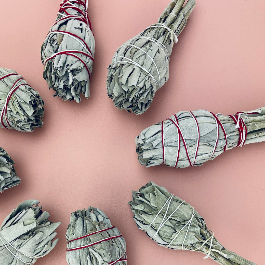 Sow the Magic – Engroshandel Salviepakke – Torch Hvid Salvie Smudge Stick3