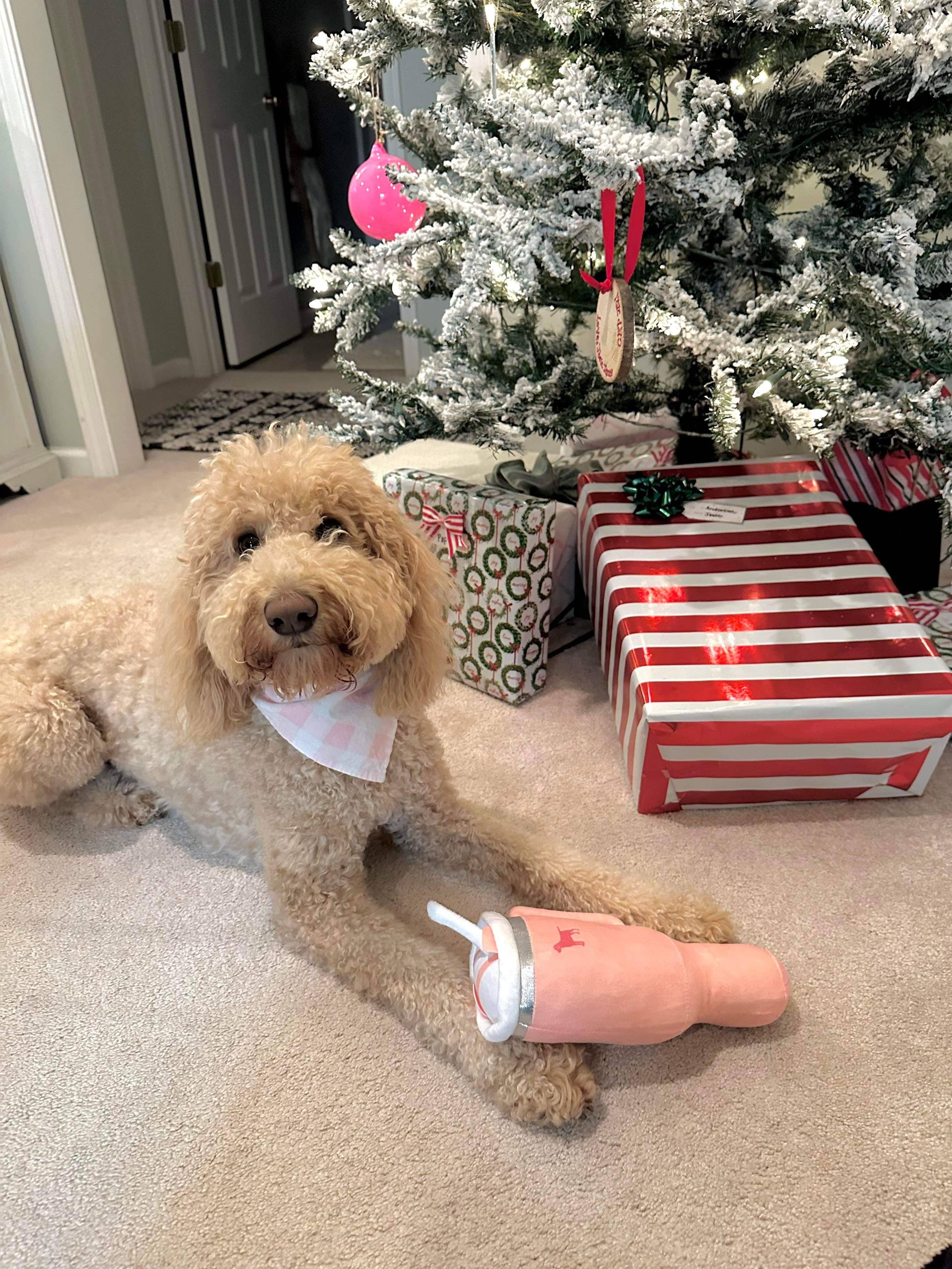 PUPROAR – wholesale Mjukisdjur - Hund – Pup Cup Tumbler Hund Leksak - Plysch & Pipljud Hund Leksak Gåvor7