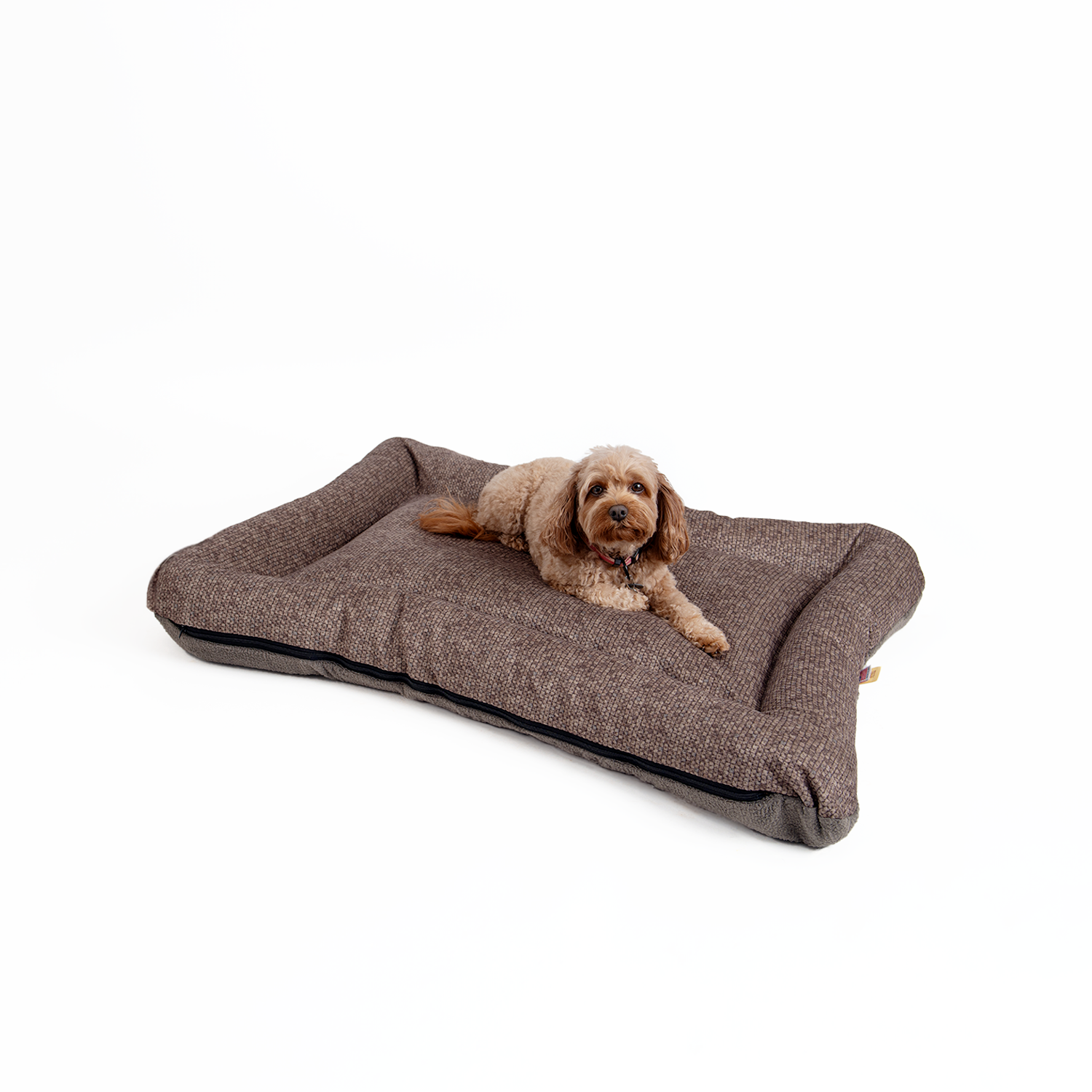 Snoozer Pet Products - Vendita all'ingrosso Letto - Cani - Cuccia per Cani All Day di Snoozer25