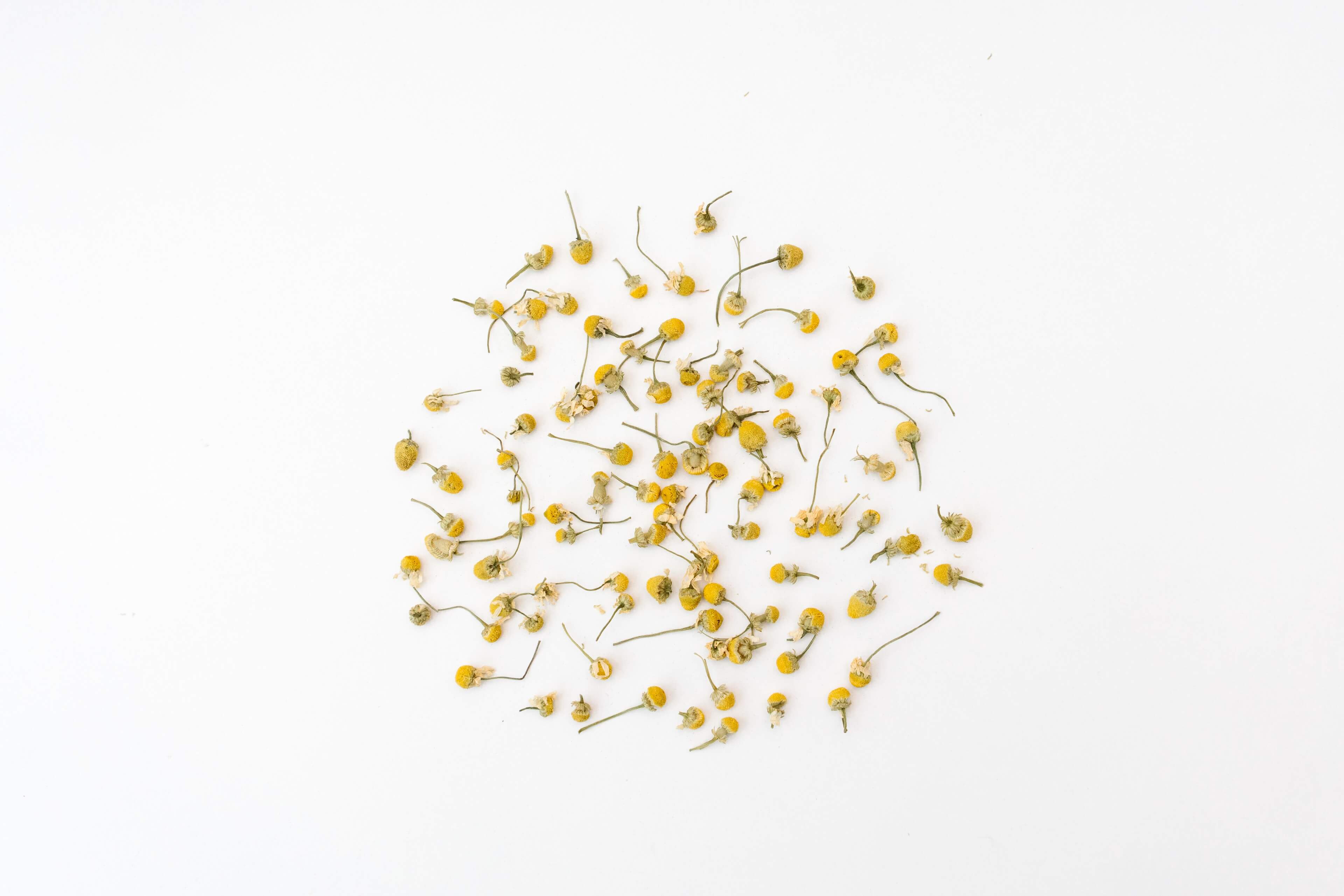 rhoeco - fine organic goods - Wholesale Tea Bags - Monovarietal Herbal Teas [Bio] - Compostable Pyramid Teabags7