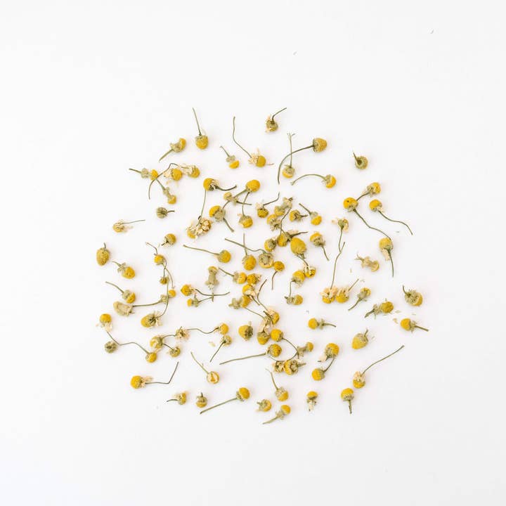 rhoeco - fine organic goods – Großhandel Teebeutel – Monovarietale Bio-Kräutertees – Kompostierbare Pyramiden-Teebeutel7