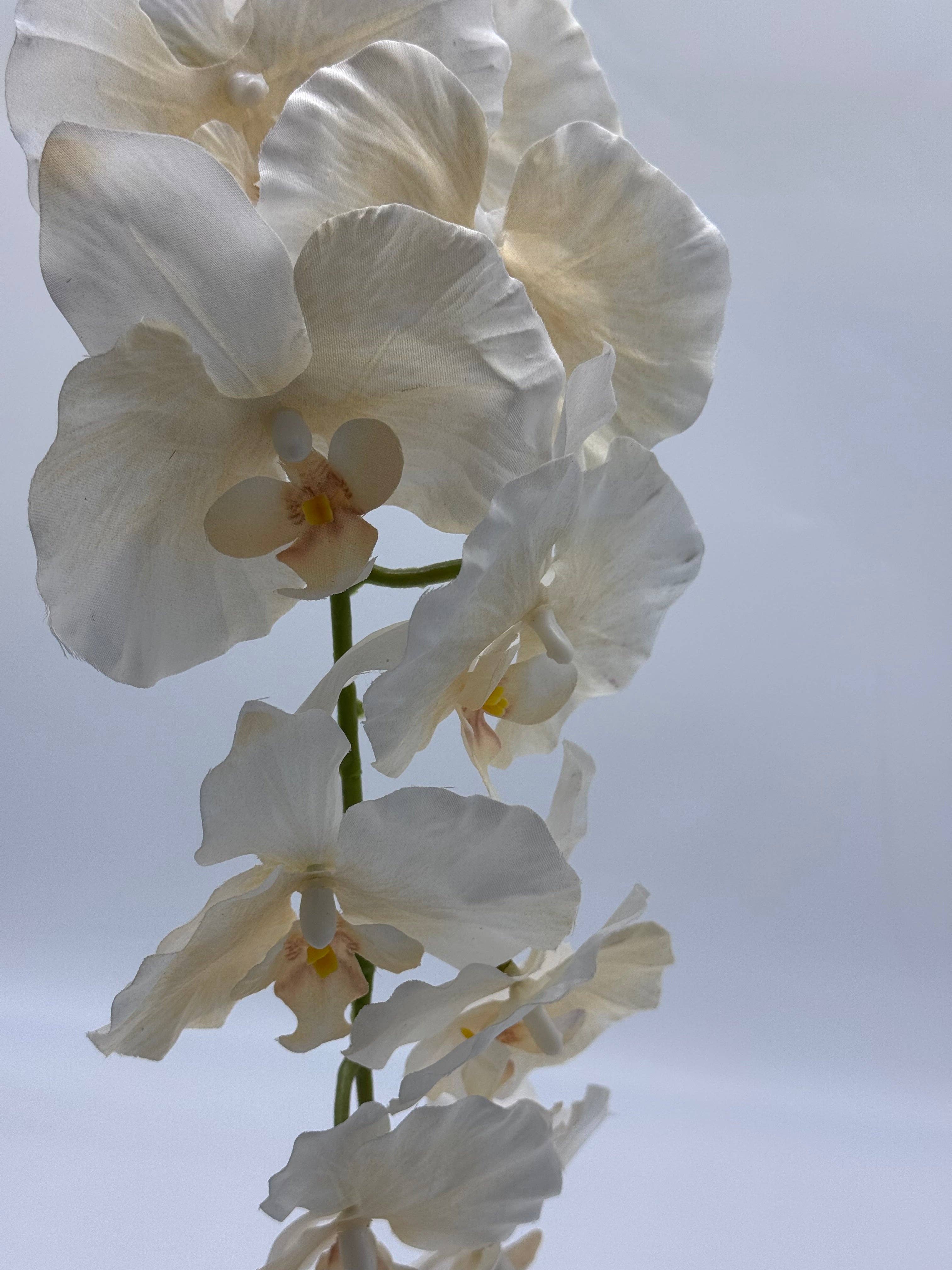 JKF & Co Pty Ltd – Engroshandel Kunstige blomster – Orkidé Silke3