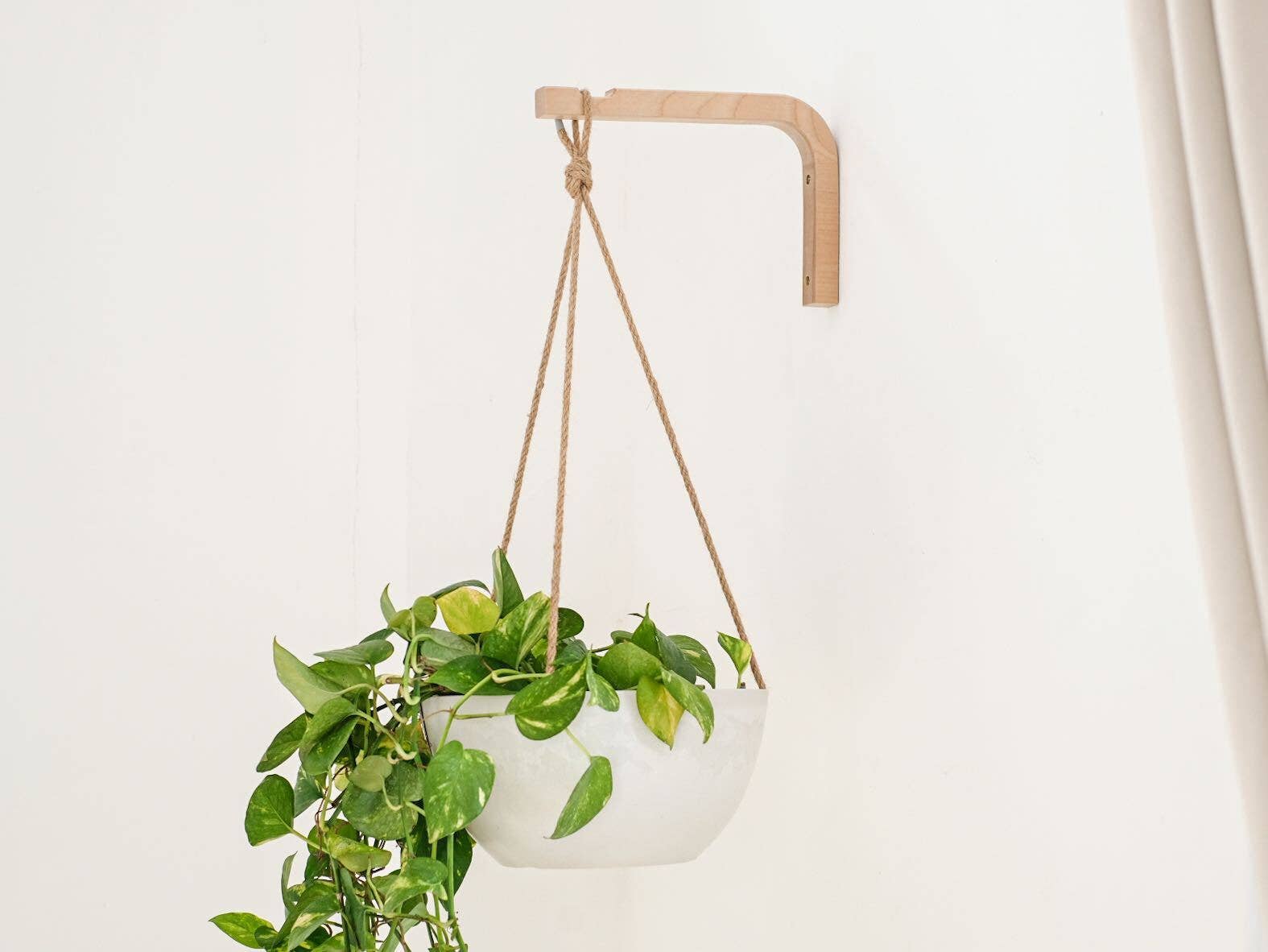 Kanso Designs - Wholesale Wall Planter - Wooden Plant Hanger Hook5