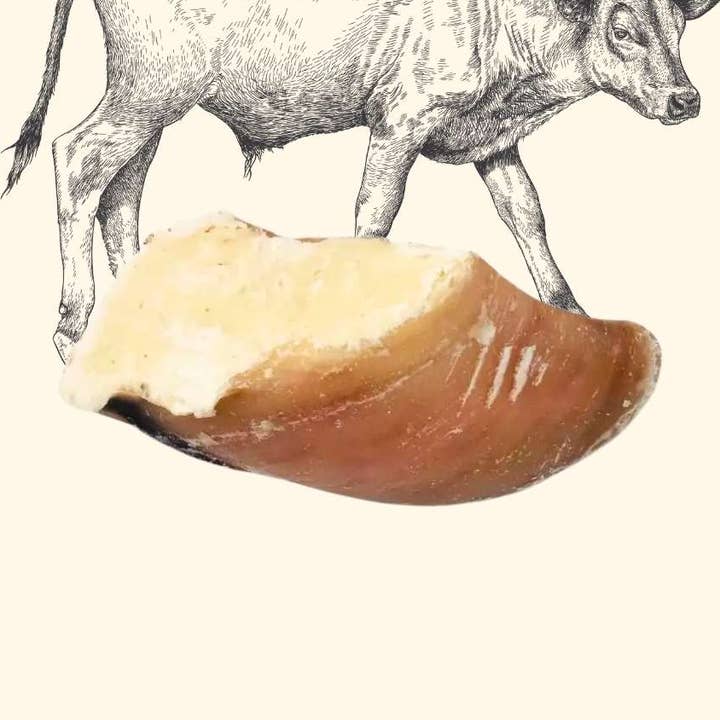 Truffe Délice – wholesale Pet treats – Dog – Garnished veal shank0