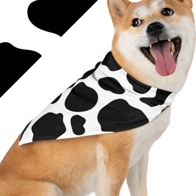 Bandana rafraîchissant pour chien à imprimé de vache pour la vente par Hey Bert