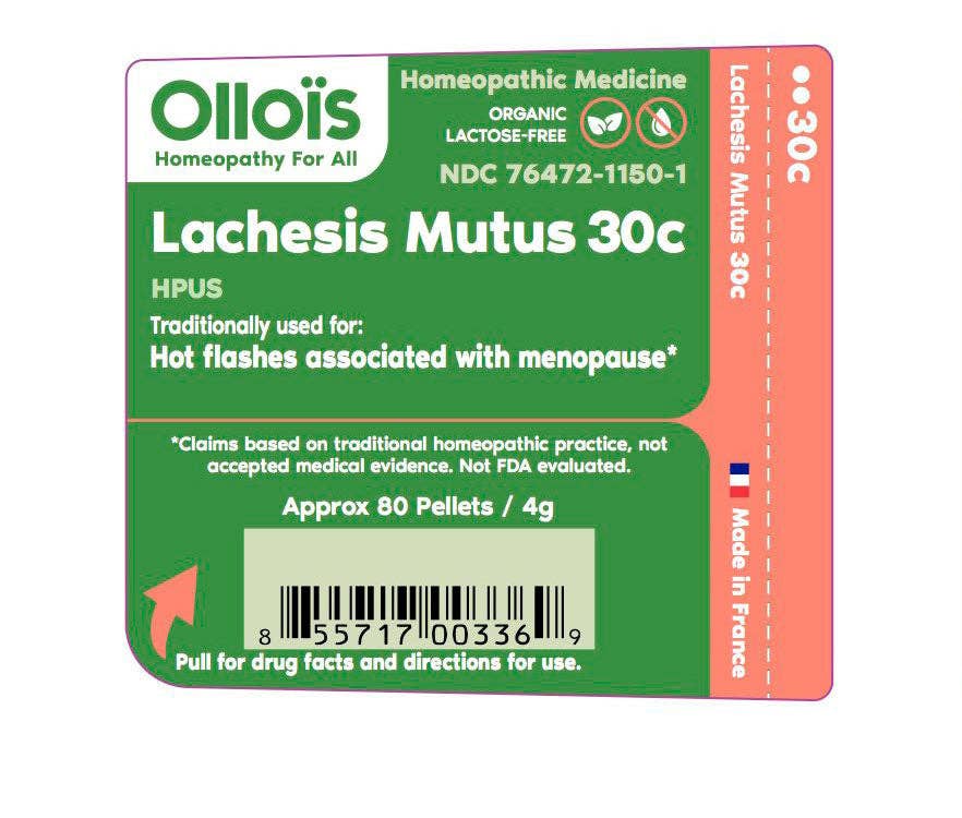 Ollois - Wholesale Oral Supplement/Vitamin - Olloïs Lachesis Mutus 30C Lactose Free Organic, 80 Pellets1