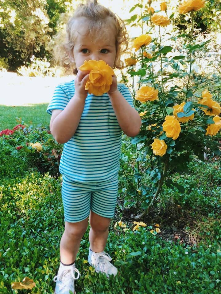 Korte broek met cartwheel voor baby's - Sea Stripe voor wholesale door Lady Dandelion