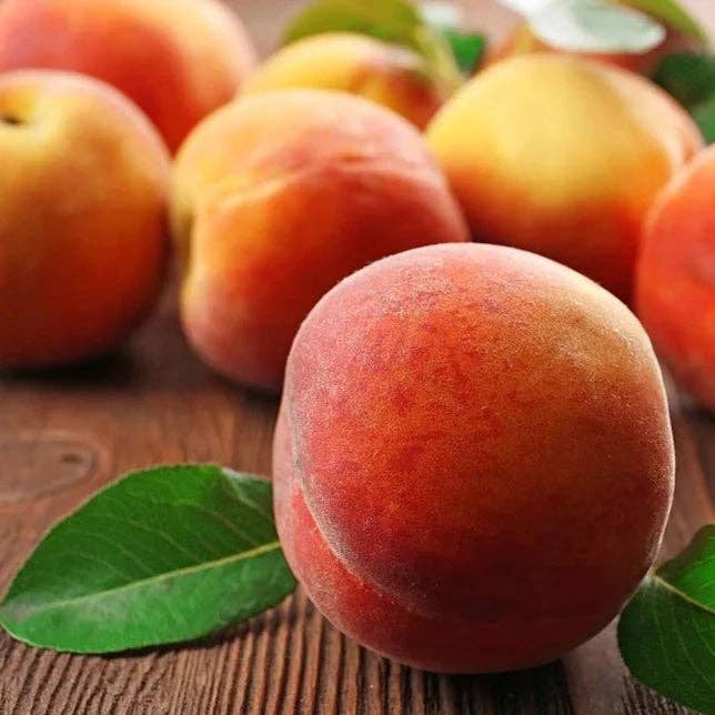 Difusor de coche de vidrio con aroma a melocotón de Georgia - Elige tu botella para venta al por mayor de Poorely Made Crafts