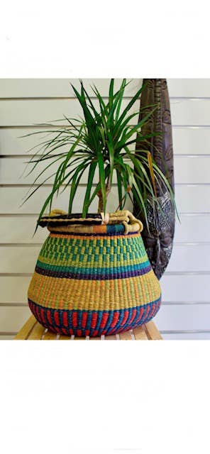 Jungle Direct - Vendita all'ingrosso Cestini - Cestino Colour Pot4