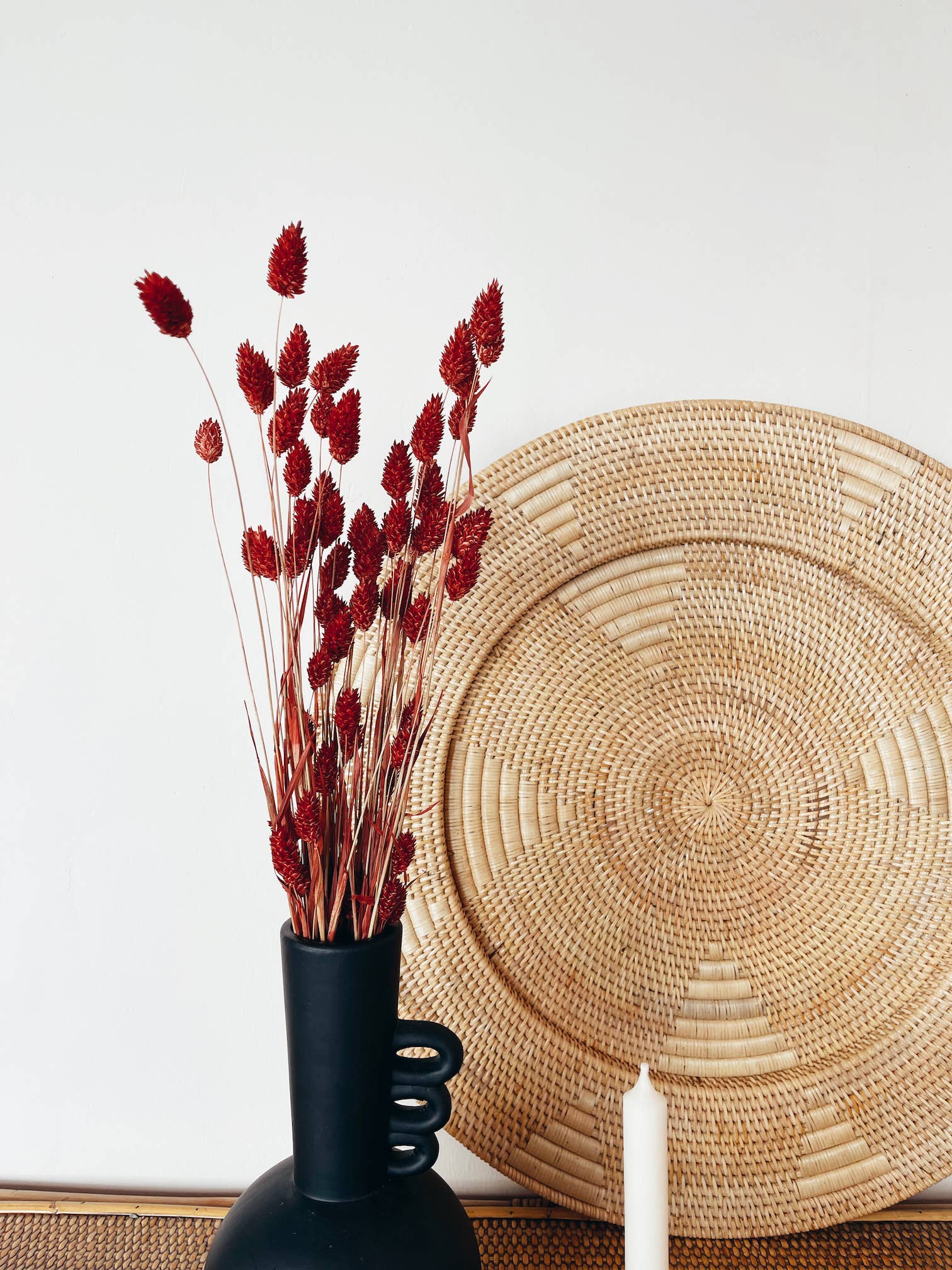 Uma Cantik - Wholesale Dried/Pressed Flowers - Phalaris Red Dried Flowers3