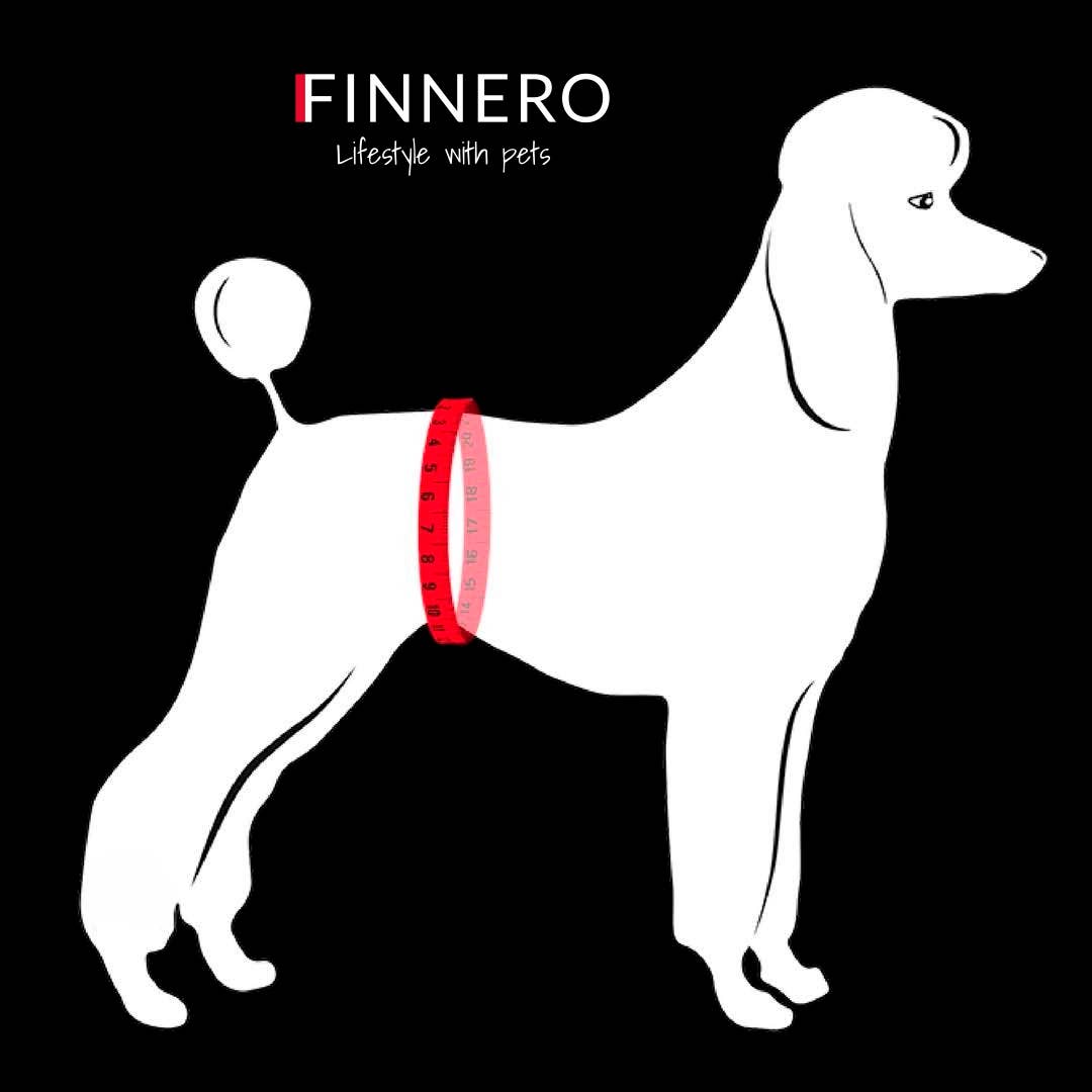 FINNERO – wholesale Husdjursblöja - Hund – FINNERO Ballerina hundhygienbyxor, 5 färger, tvättbara13