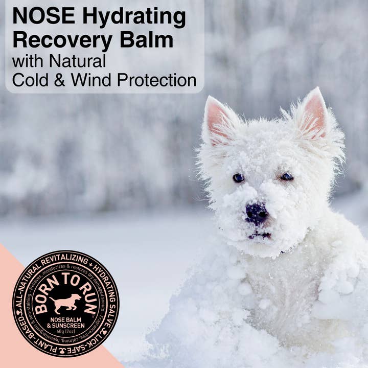 BORN TO RUN DOGS - Wholesale Pet Balm - Dog - Healing Soothing NOSE BALM & Cold Wind Sun Protection 60g1